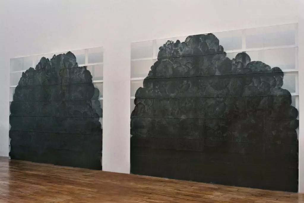 Valérie Novello - Paysage de cendre