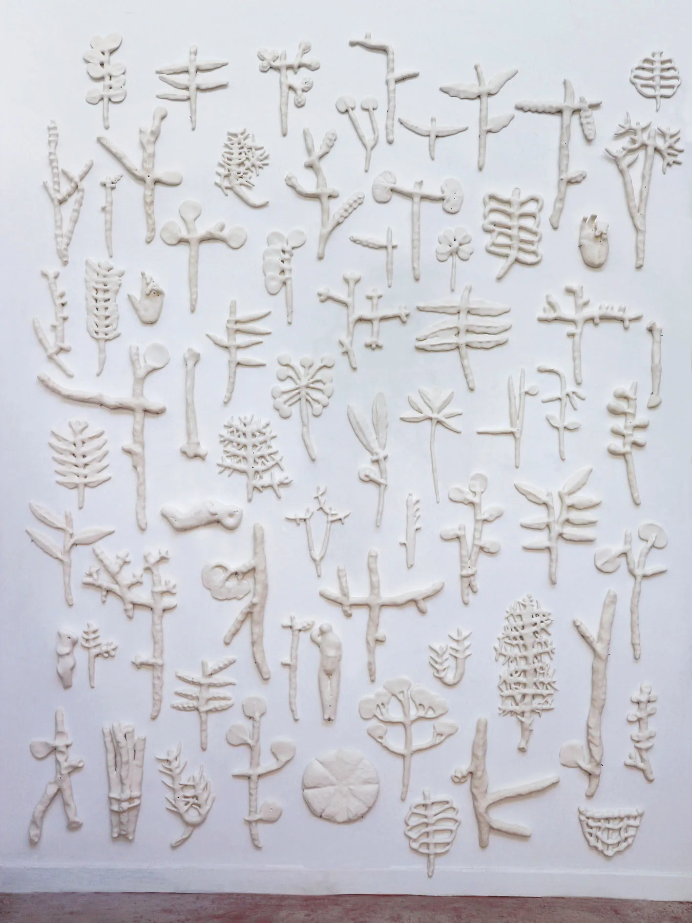 Herbier os