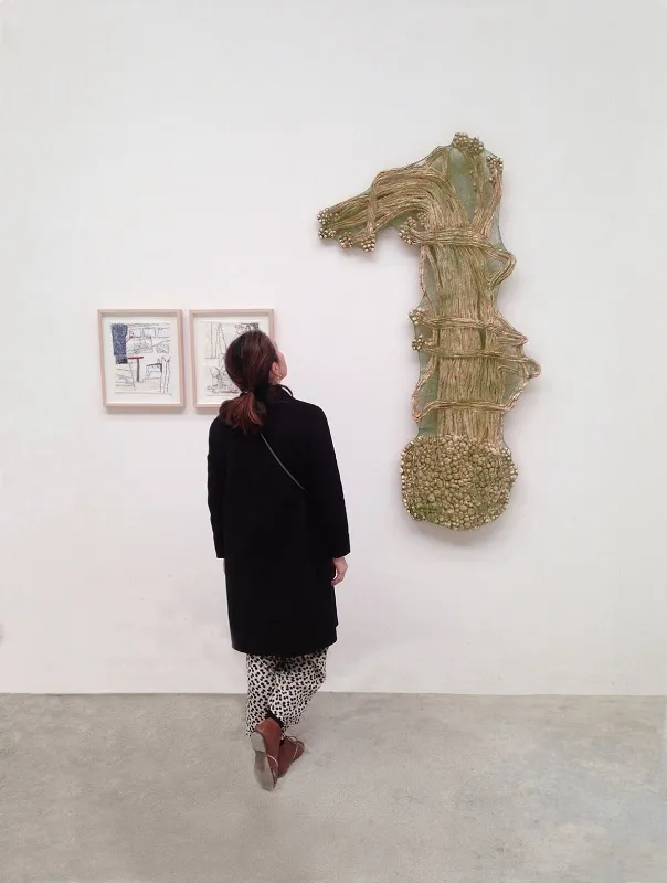 5 Immortelle racine (exposition)