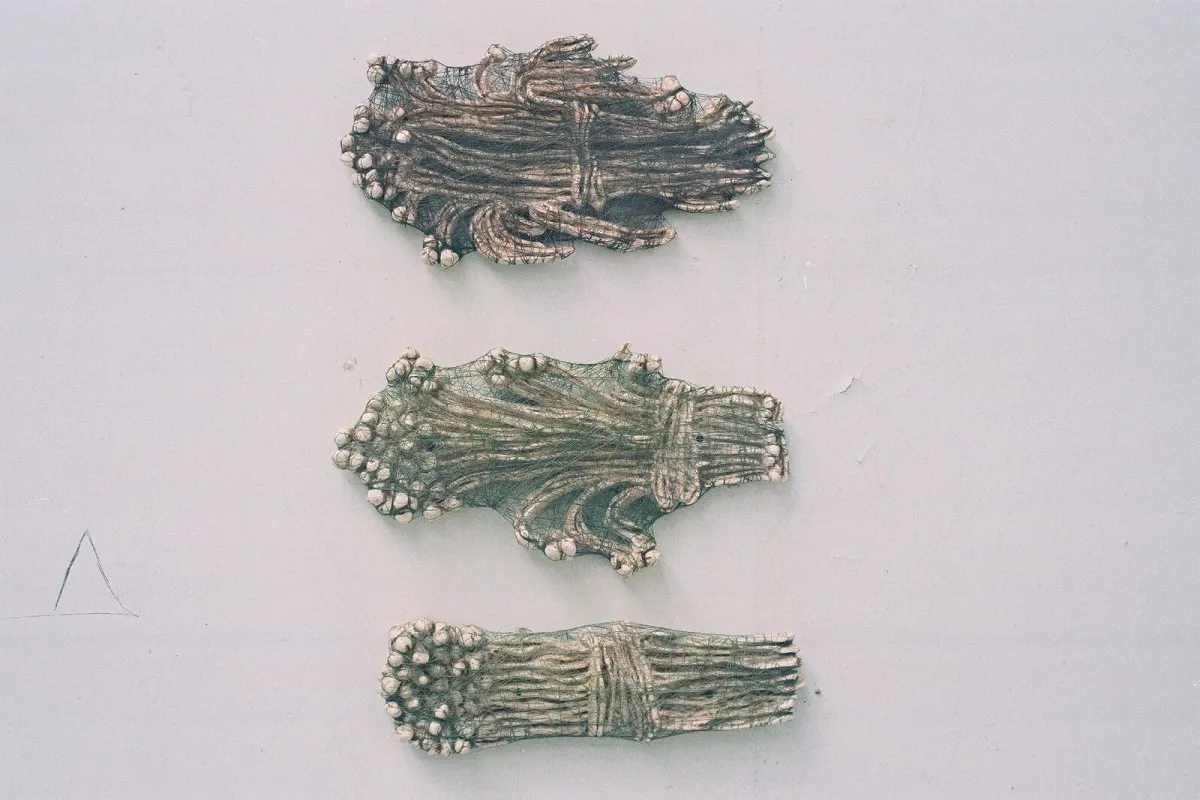 6 Trois immortelles