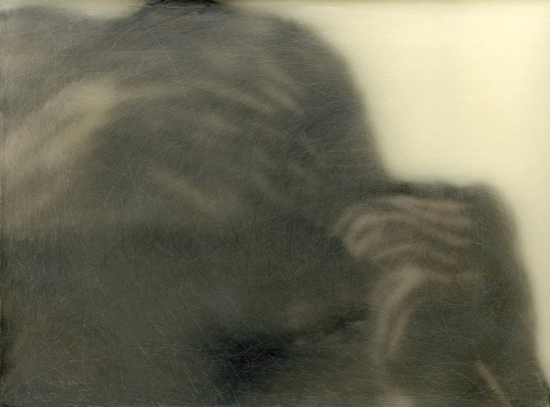 Valérie Novello - Paysages de cire
