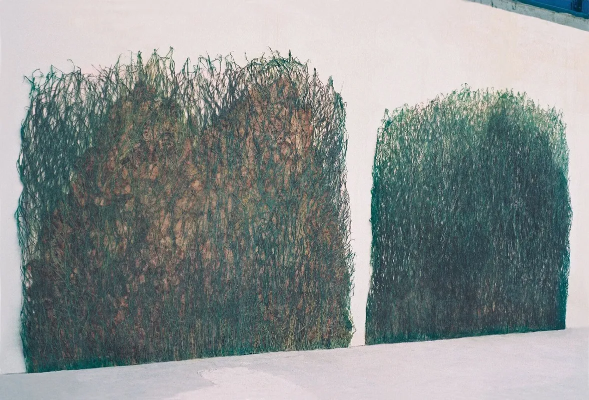 Herbes-1
