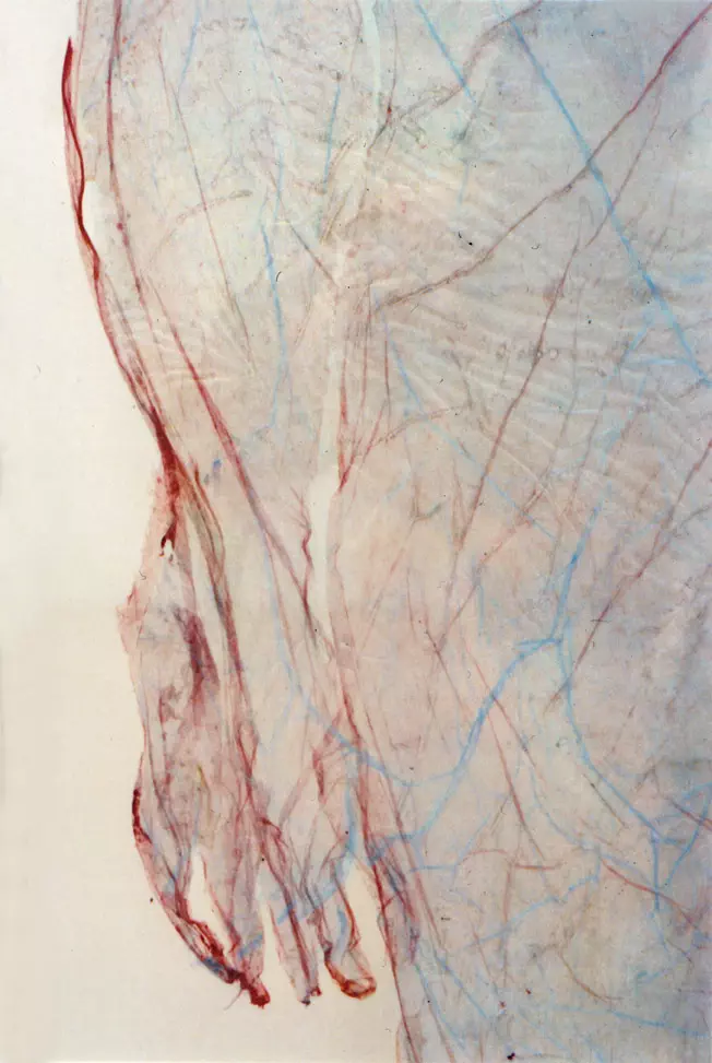 Valérie Novello - Peaux sous verre