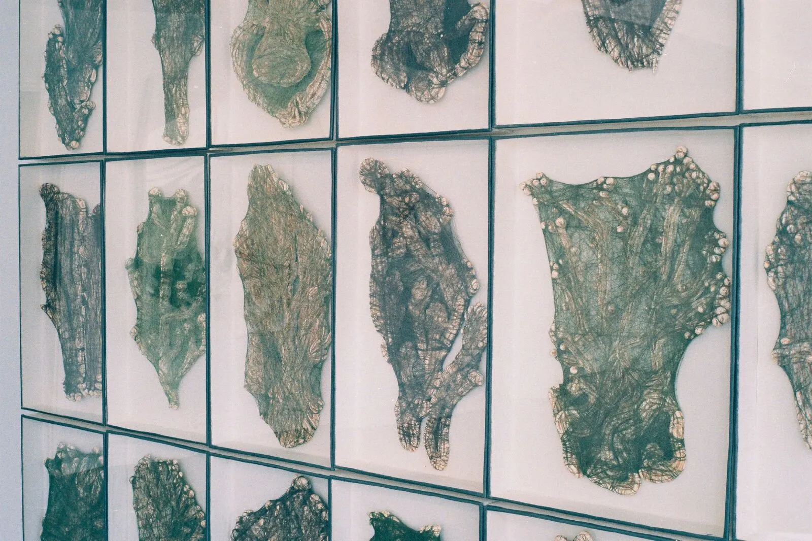 Valérie Novello - Herbier